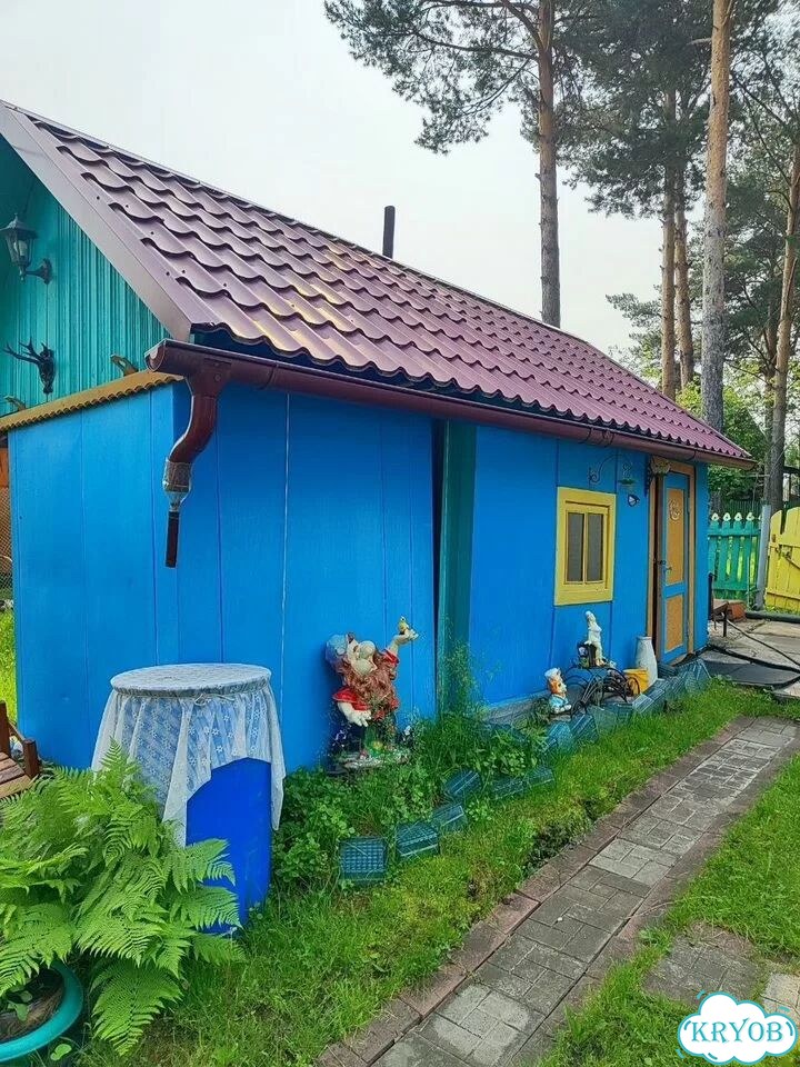 Дача 55 м² на участке 5,8 сот. фото 3