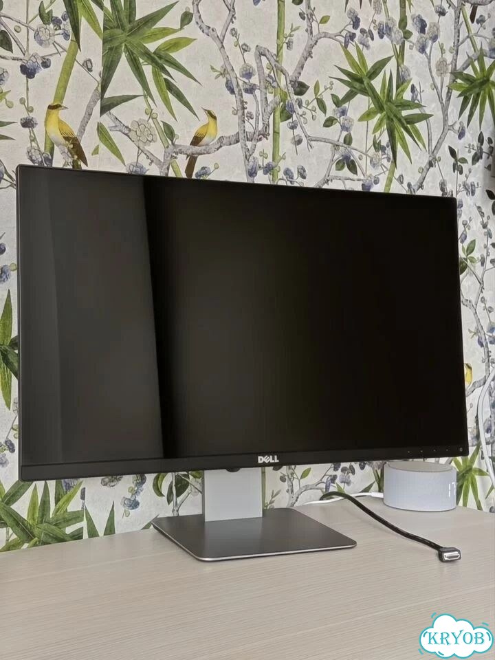 Монитор Dell S2415hb фото 1
