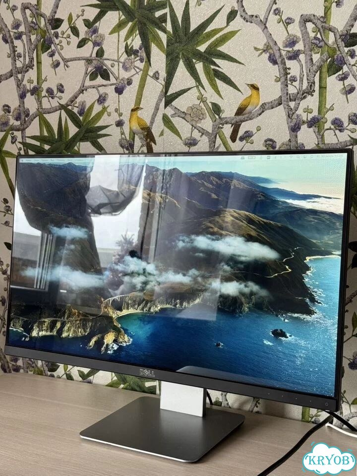 Монитор Dell S2415hb фото 2