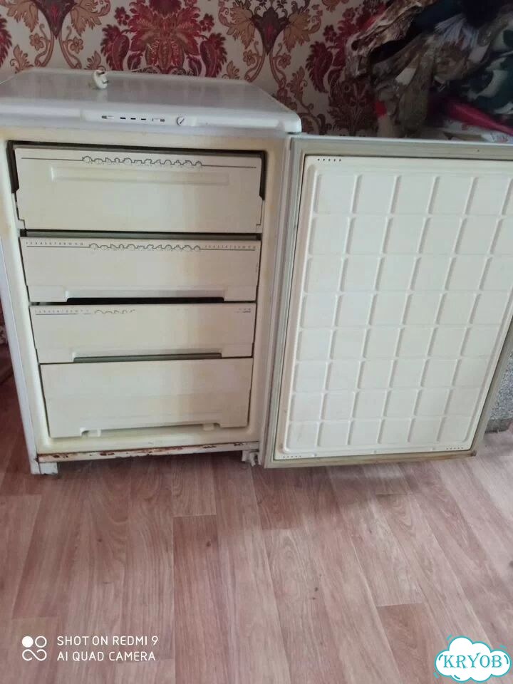 Продам морозилку Бирюса в хорошем состоянии фото 2
