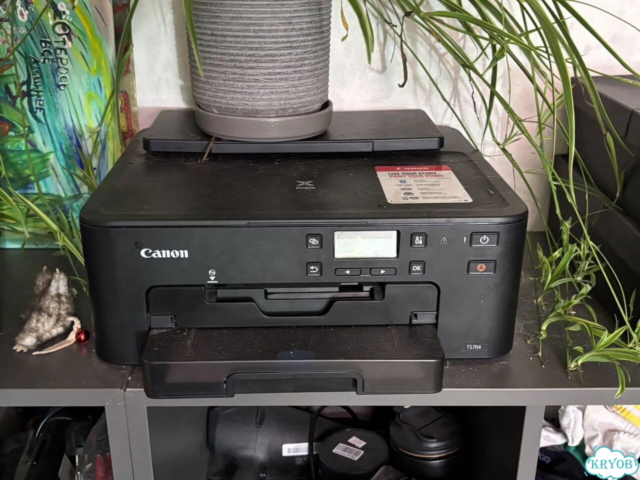 Принтер Canon Pixma TS704 фото 1