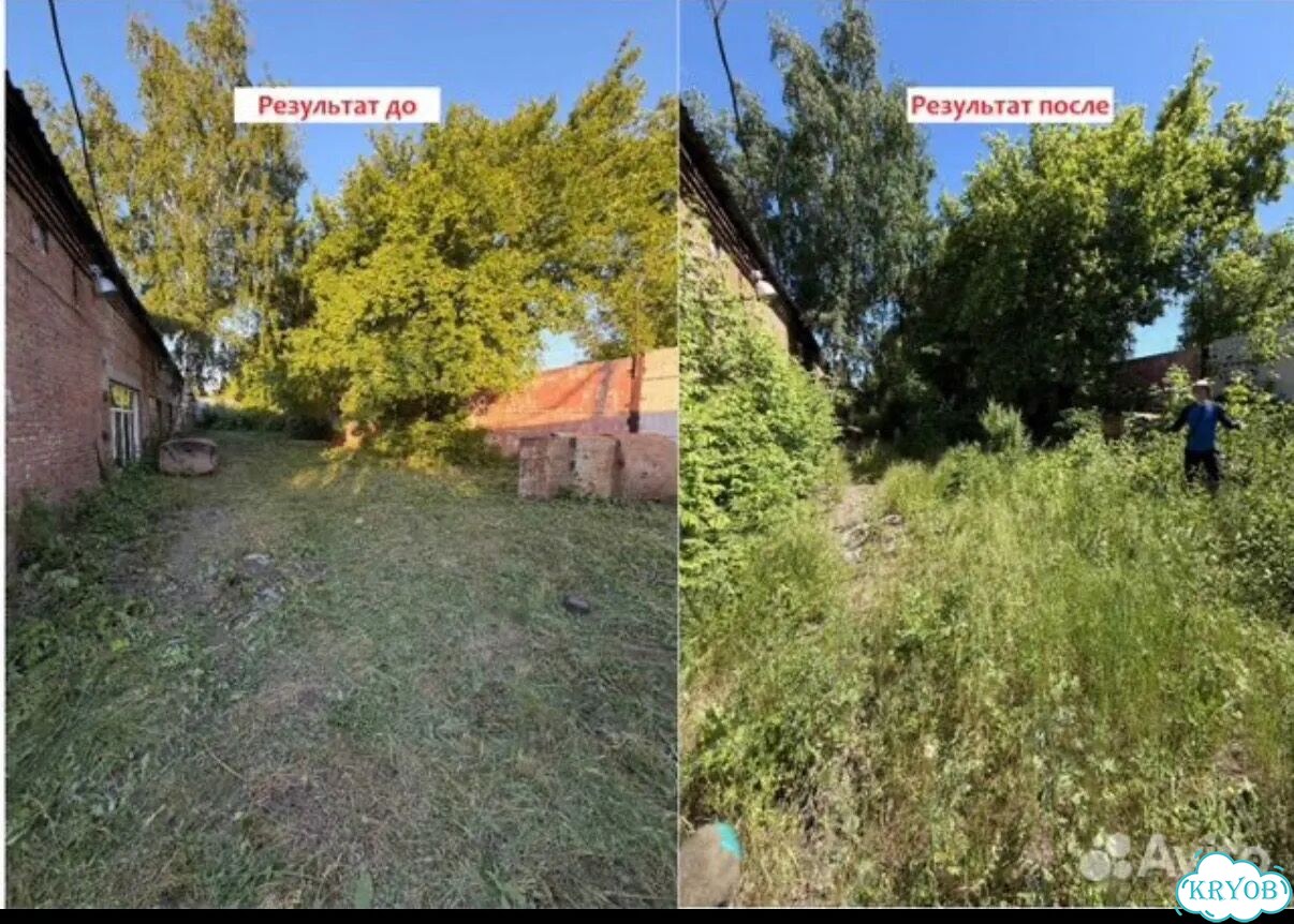 Сделаем из вашего участка конфетку фото 1