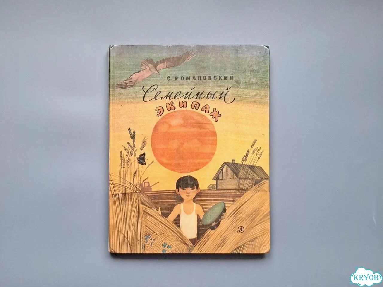 Детская книга Семейный экипаж Романовский фото 1
