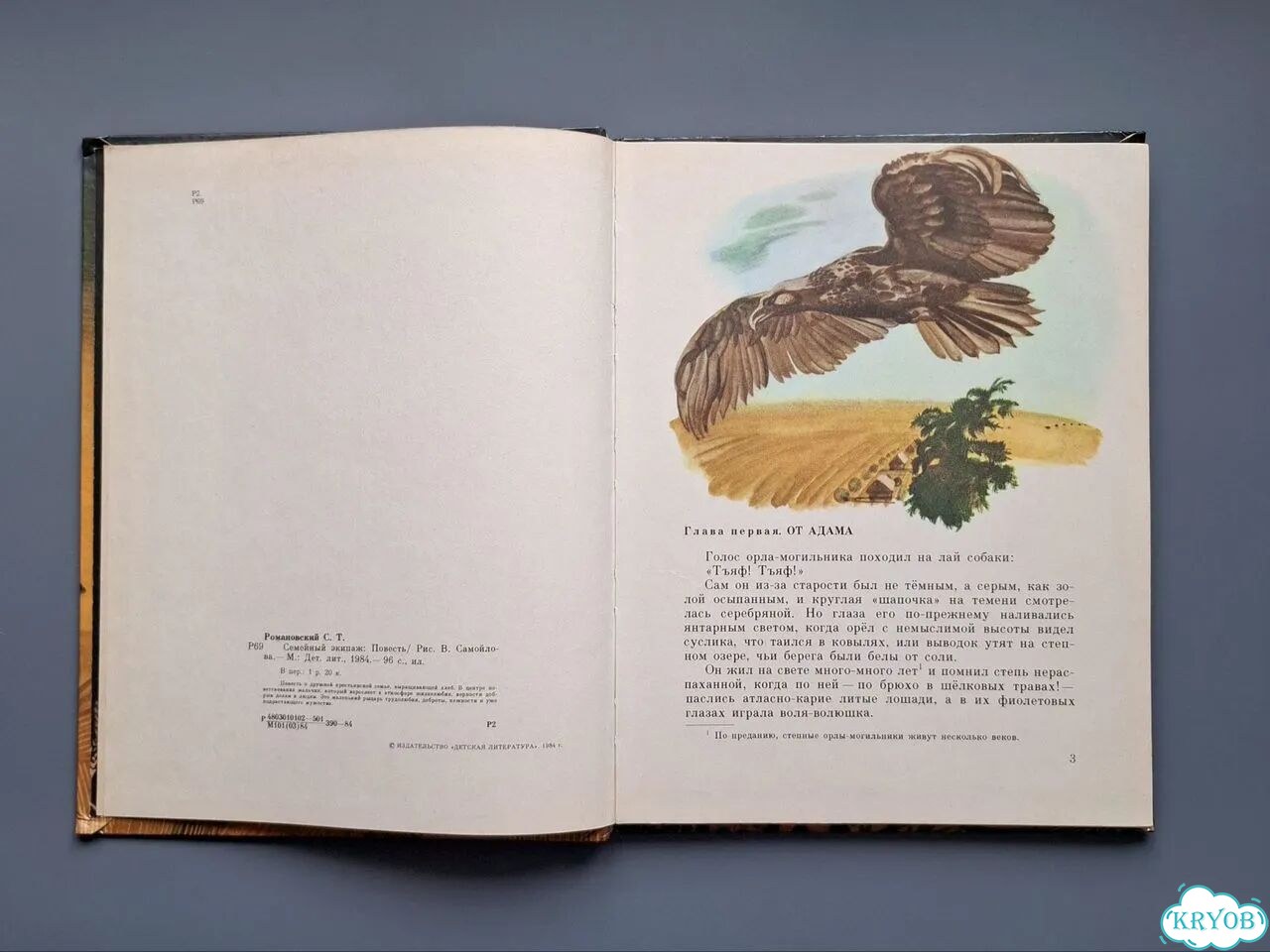 Детская книга Семейный экипаж Романовский фото 4
