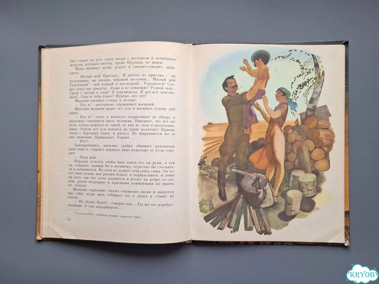 Детская книга Семейный экипаж Романовский фото 7