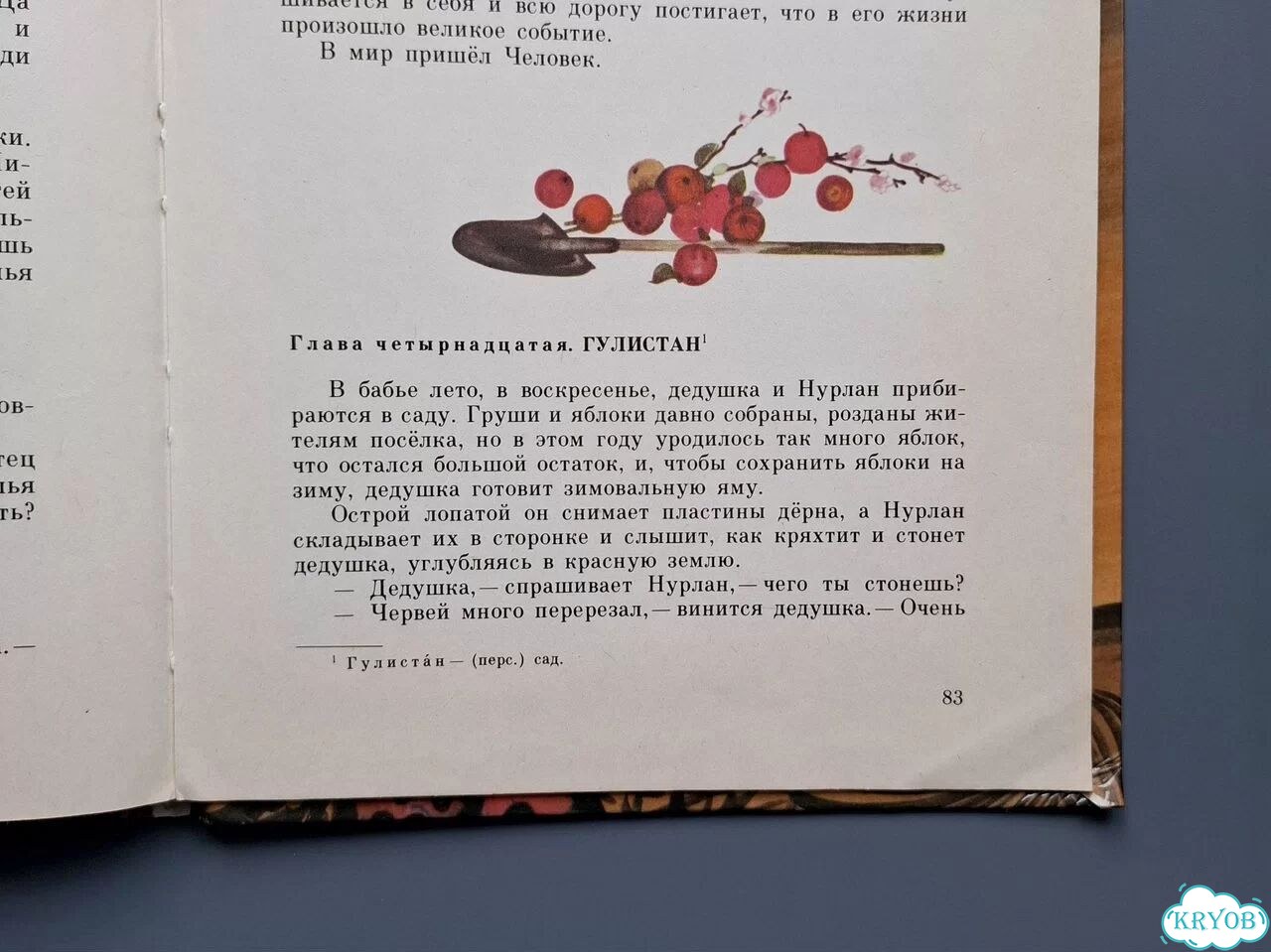 Детская книга Семейный экипаж Романовский фото 8