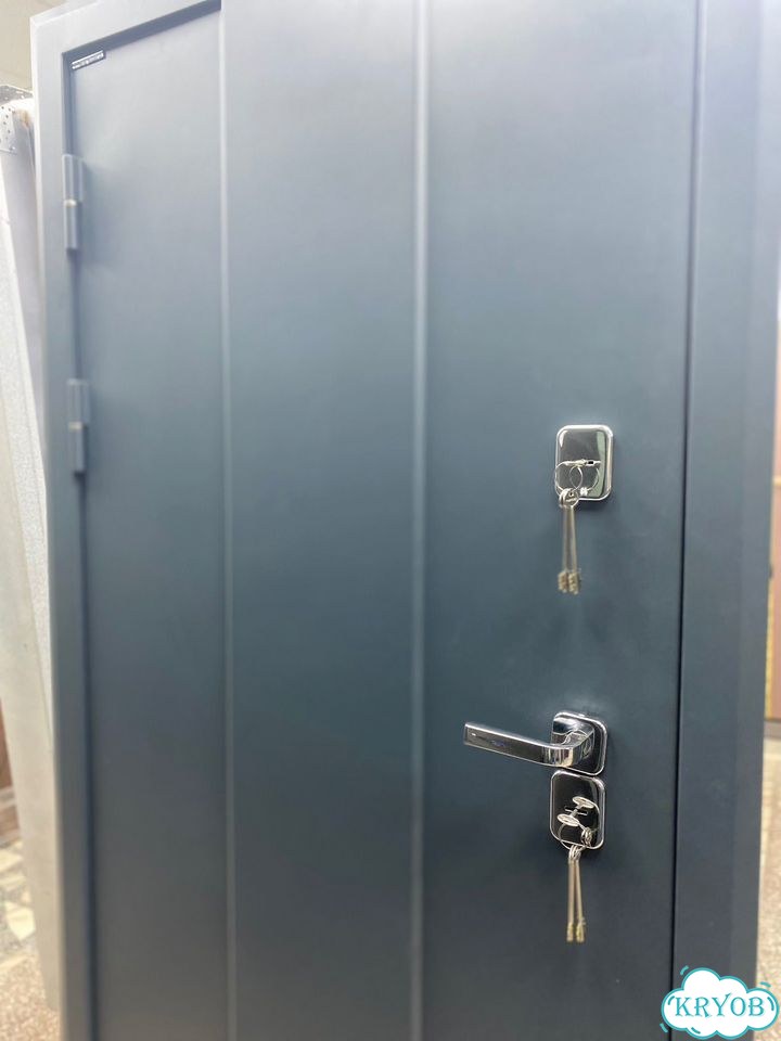 Входная Дверь с Термо разрывом фото 3
