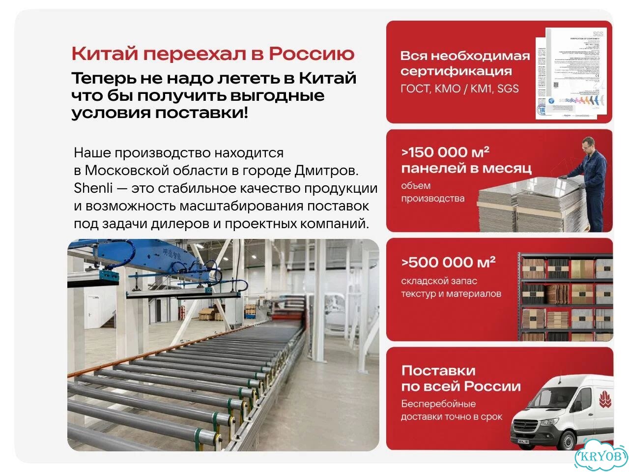Папоротник комнатный фото 3