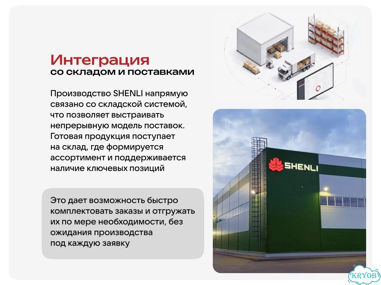 Папоротник комнатный фото 5