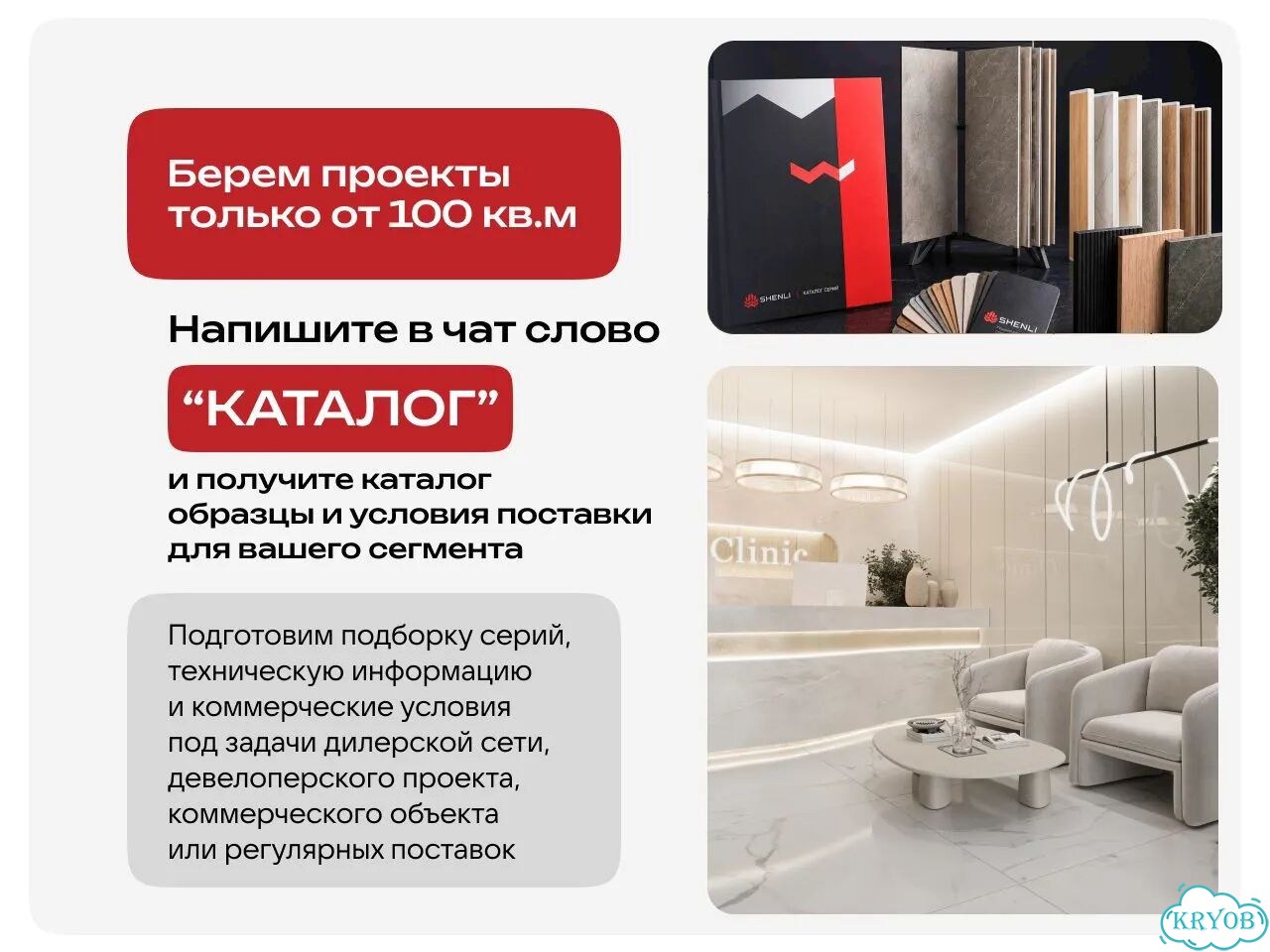 Папоротник комнатный фото 6