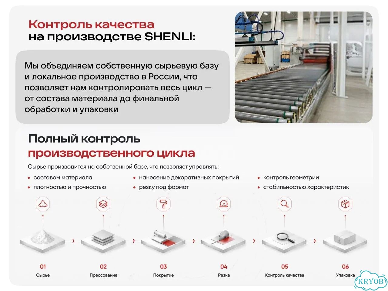 Папоротник комнатный фото 7