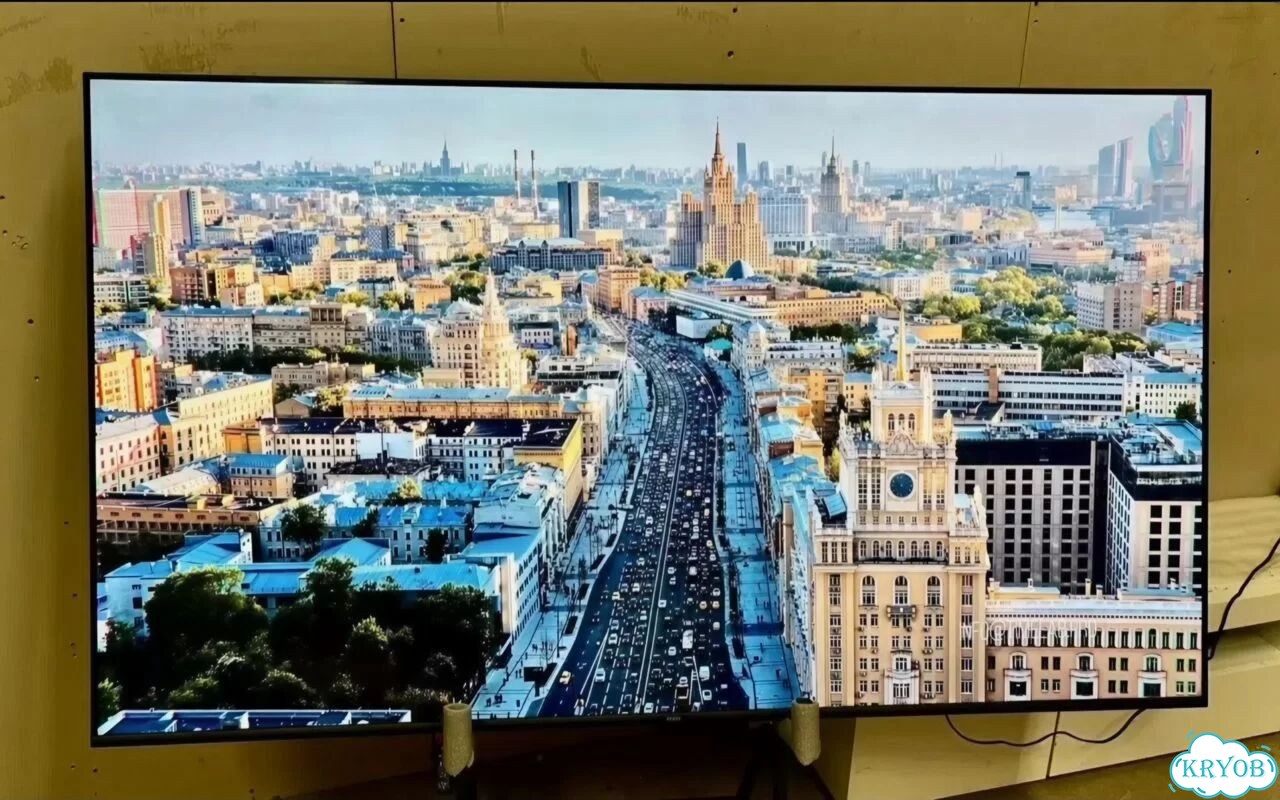Комнатное растение Юкка фото 4