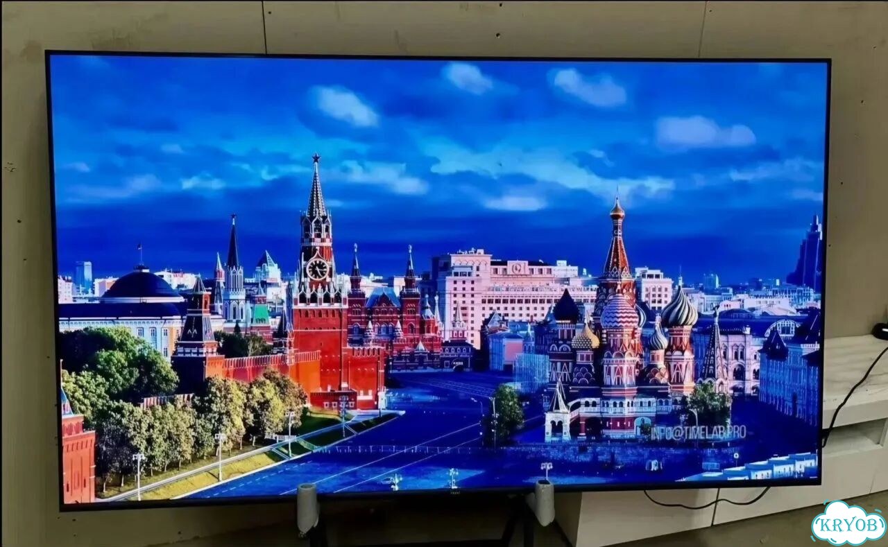 Комнатное растение Юкка фото 5