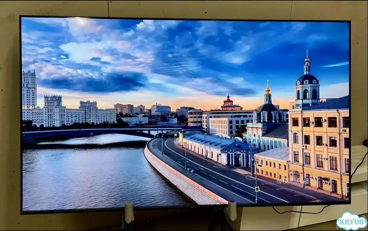 Комнатное растение Юкка фото 6