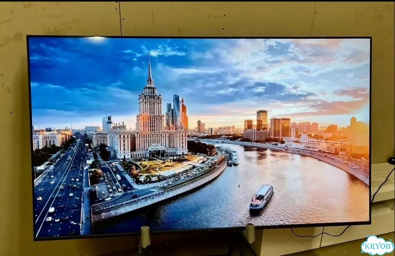 Комнатное растение Юкка фото 7