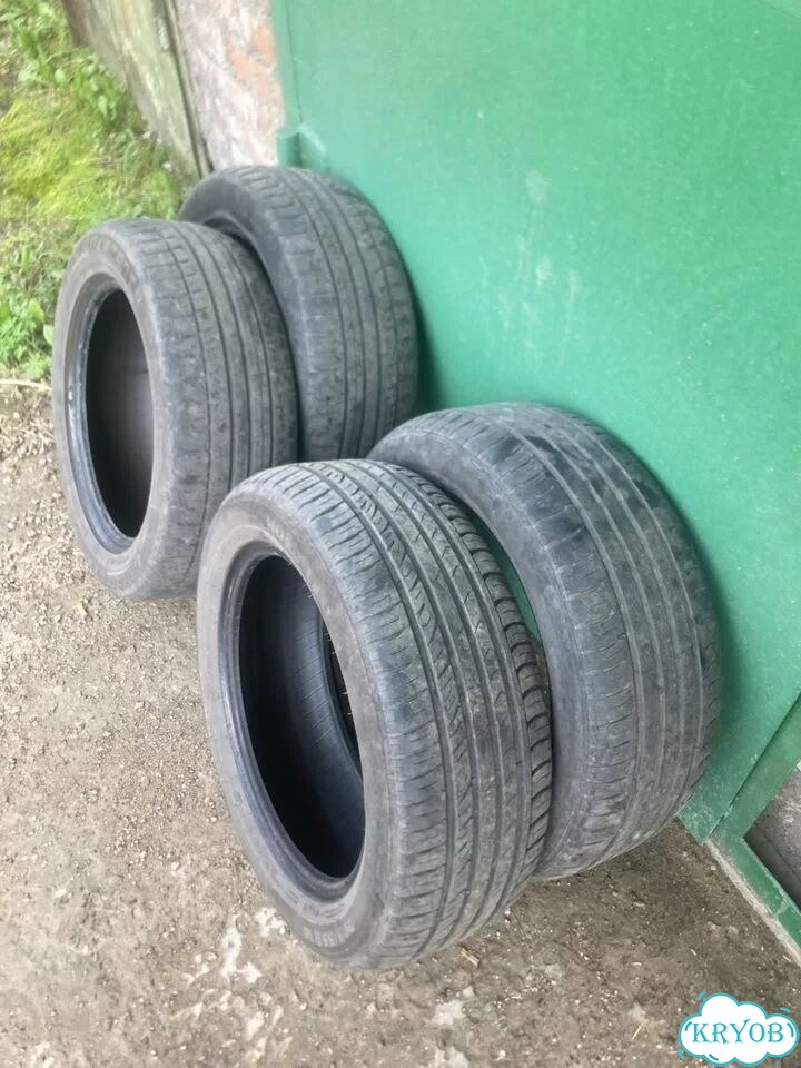Nokian Tyres Nordman SX2 205/55 R16 фото 2