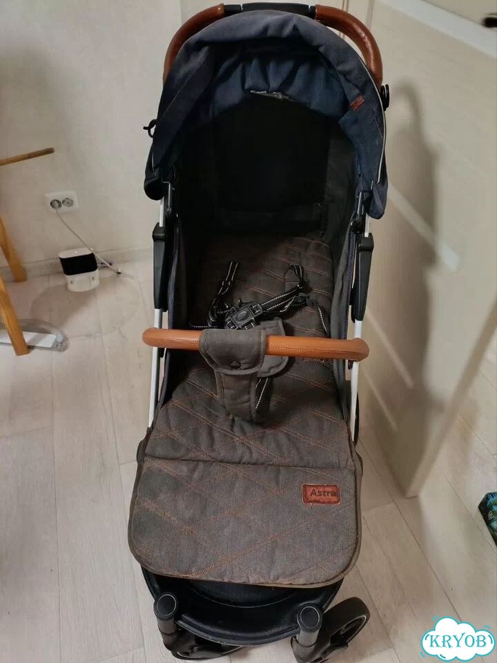 Прогулочная коляска Carrello Astra фото 3