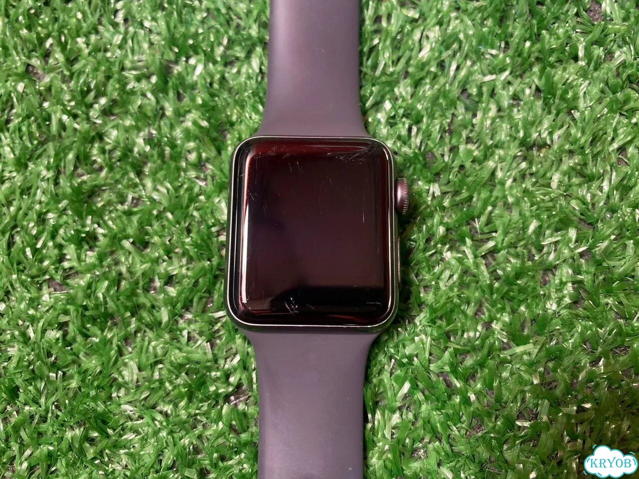 Смарт часы Apple Watch Series 3 38mm фото 3