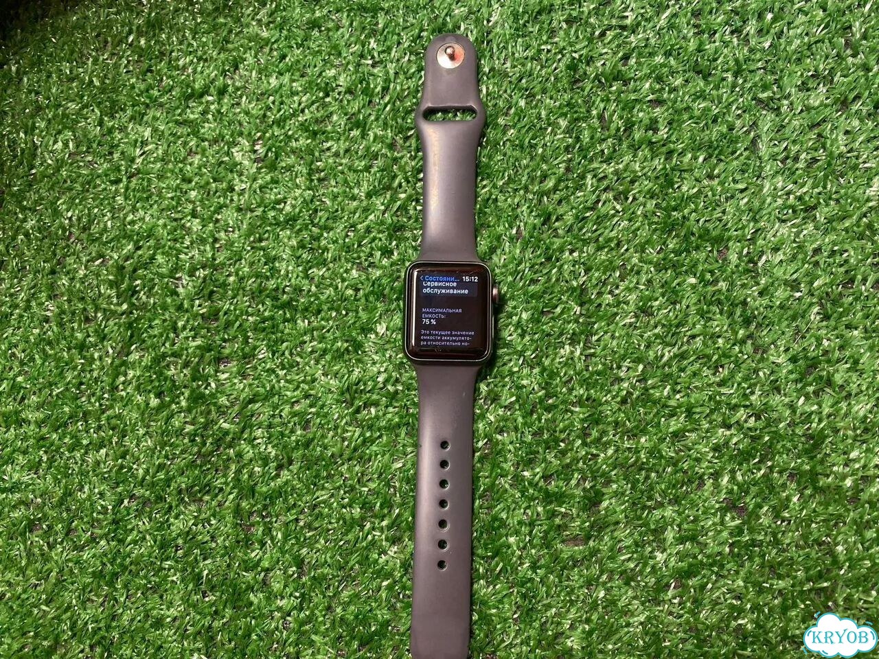 Смарт часы Apple Watch Series 3 38mm фото 4