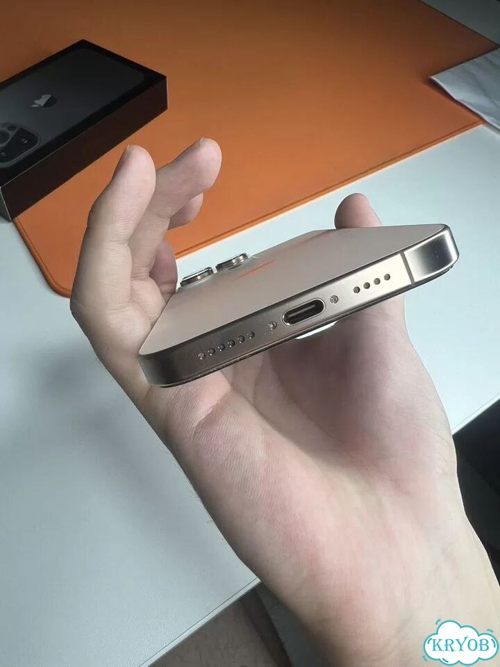 iPhone 16 Pro Max, 256 ГБ, SIM + eSIM фото 8