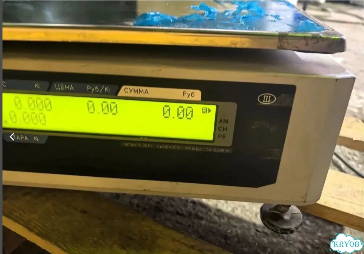 Весы настольные Digi SM-500 MK4 15 кг фото 4
