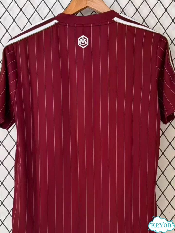 Джерси Adidas Arsenal 25/26 M-L фото 3