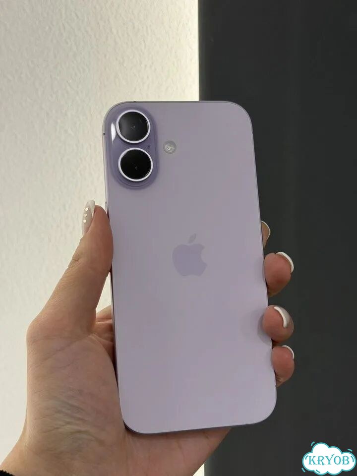 iPhone 17, 256 ГБ, SIM + eSIM фото 6