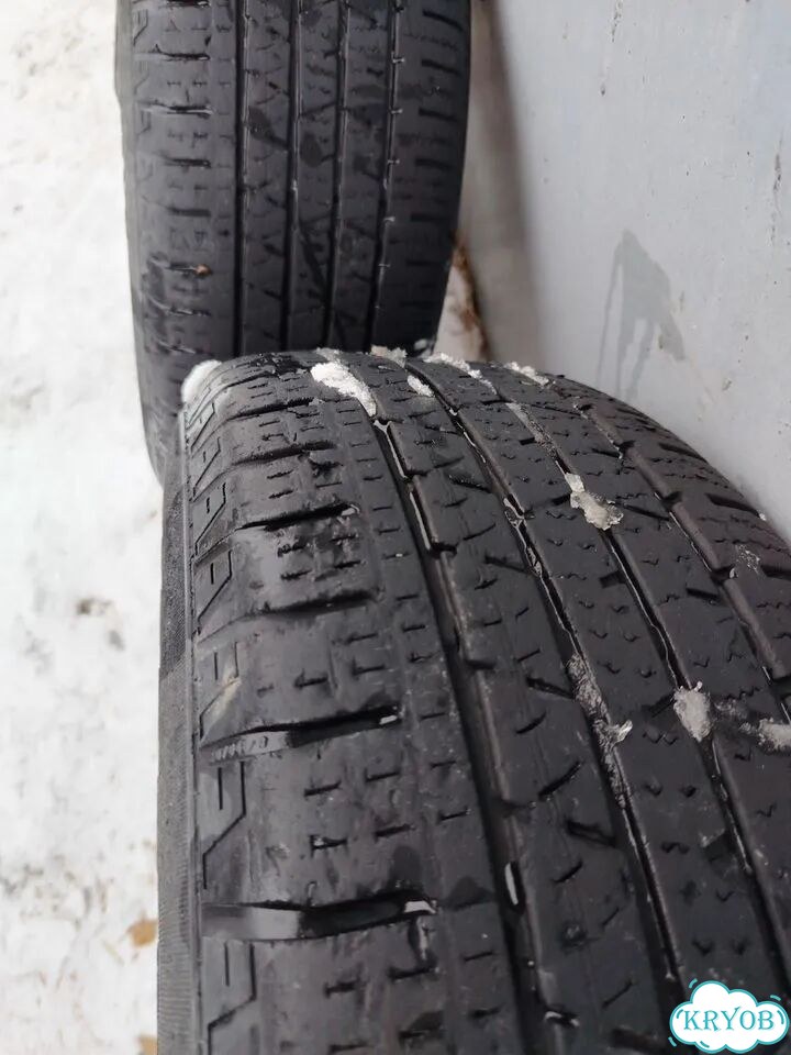 Dunlop SP Winter Sport M3 215/60 R16 98C фото 2