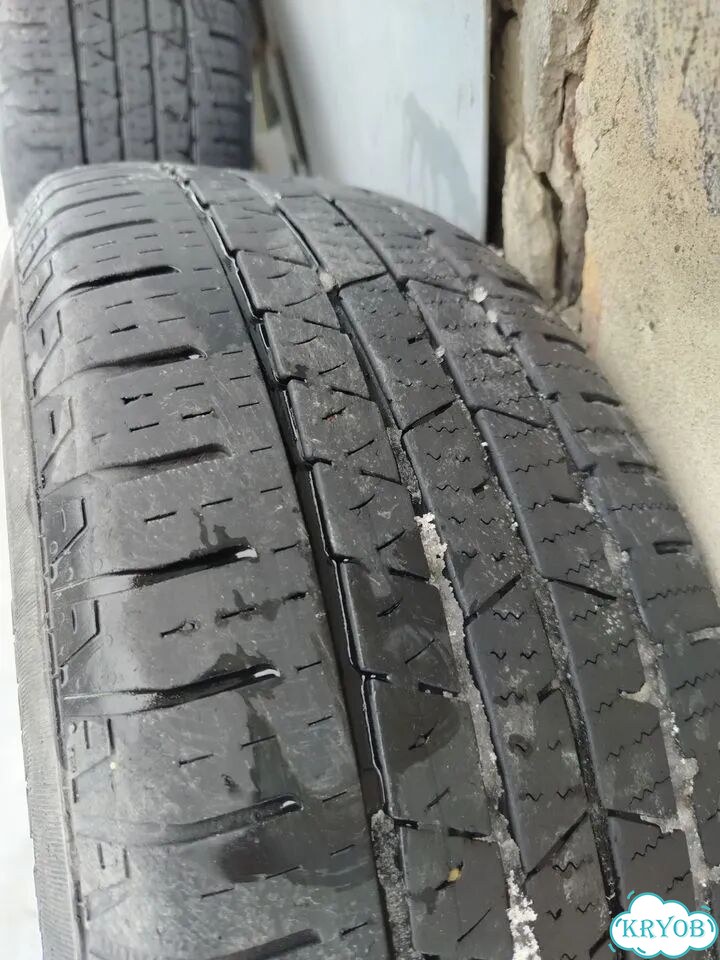 Dunlop SP Winter Sport M3 215/60 R16 98C фото 4