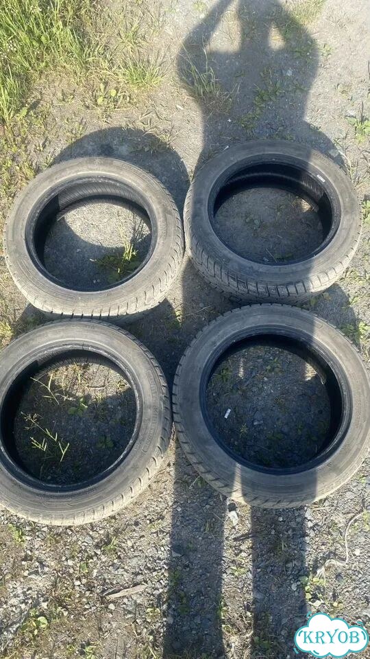 Doublestar DS801 195/55 R16 фото 1