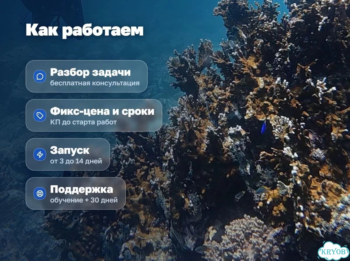 Заявки 24/7: AI-агент для бизнеса фото 3