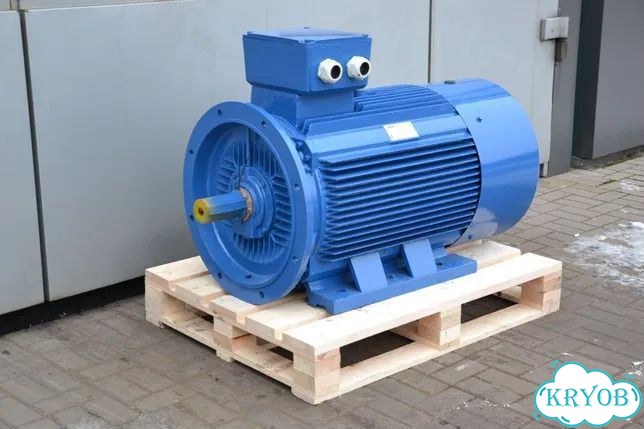 Электродвигатель 5аи 355 мlb2 (400кВт / 3000об) фото 3