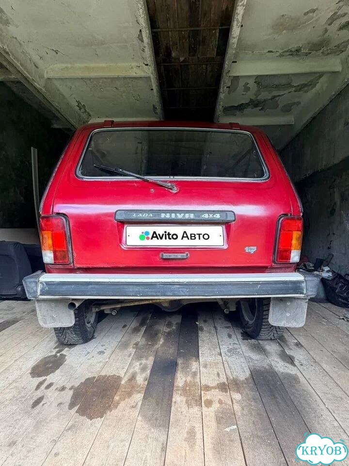 ВАЗ (LADA) 4x4 (Нива) 1.7 MT, 1995, 217 169 км фото 1