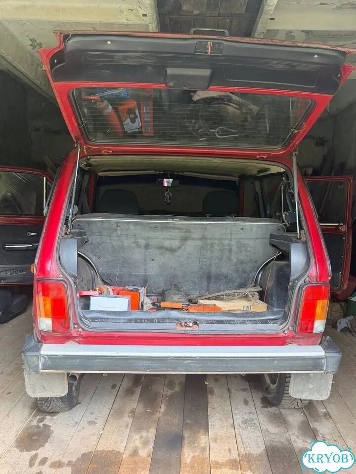 ВАЗ (LADA) 4x4 (Нива) 1.7 MT, 1995, 217 169 км фото 2