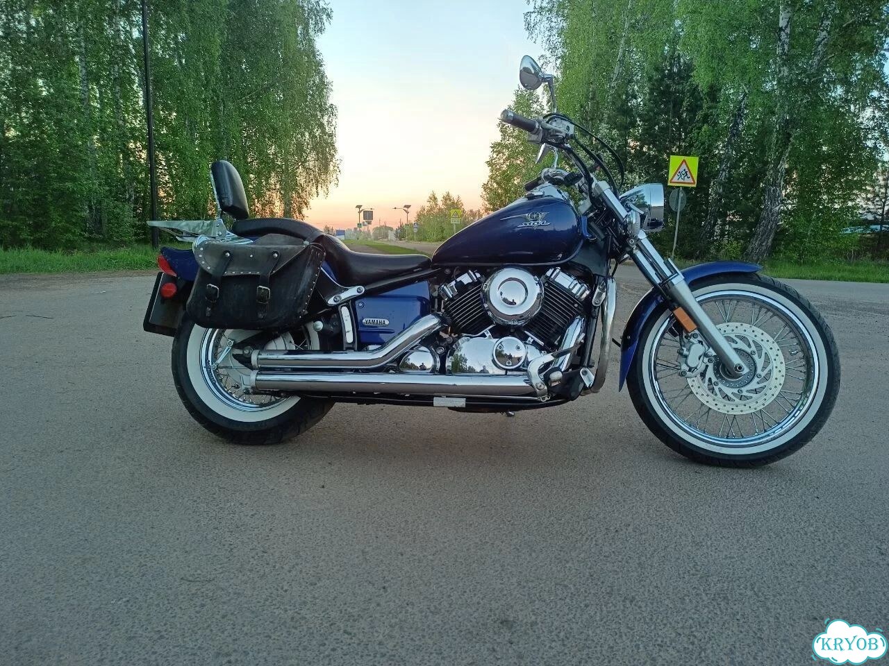 Yamaha XVS 650, 2005, 99 999 км фото 4