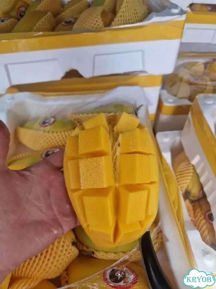 Манго свежее крупное фото 1