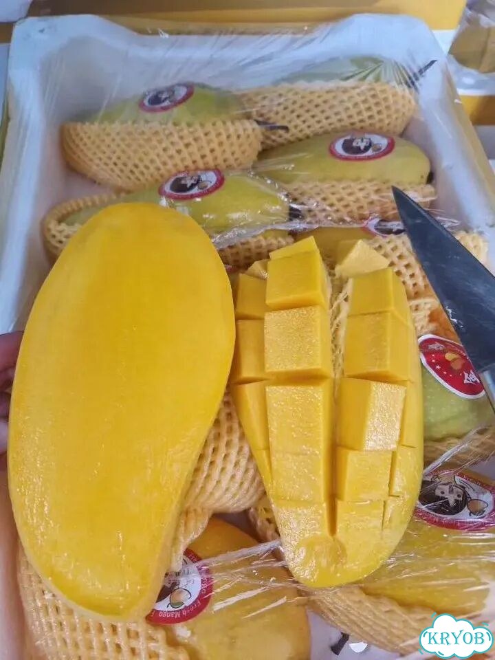 Манго свежее крупное фото 3
