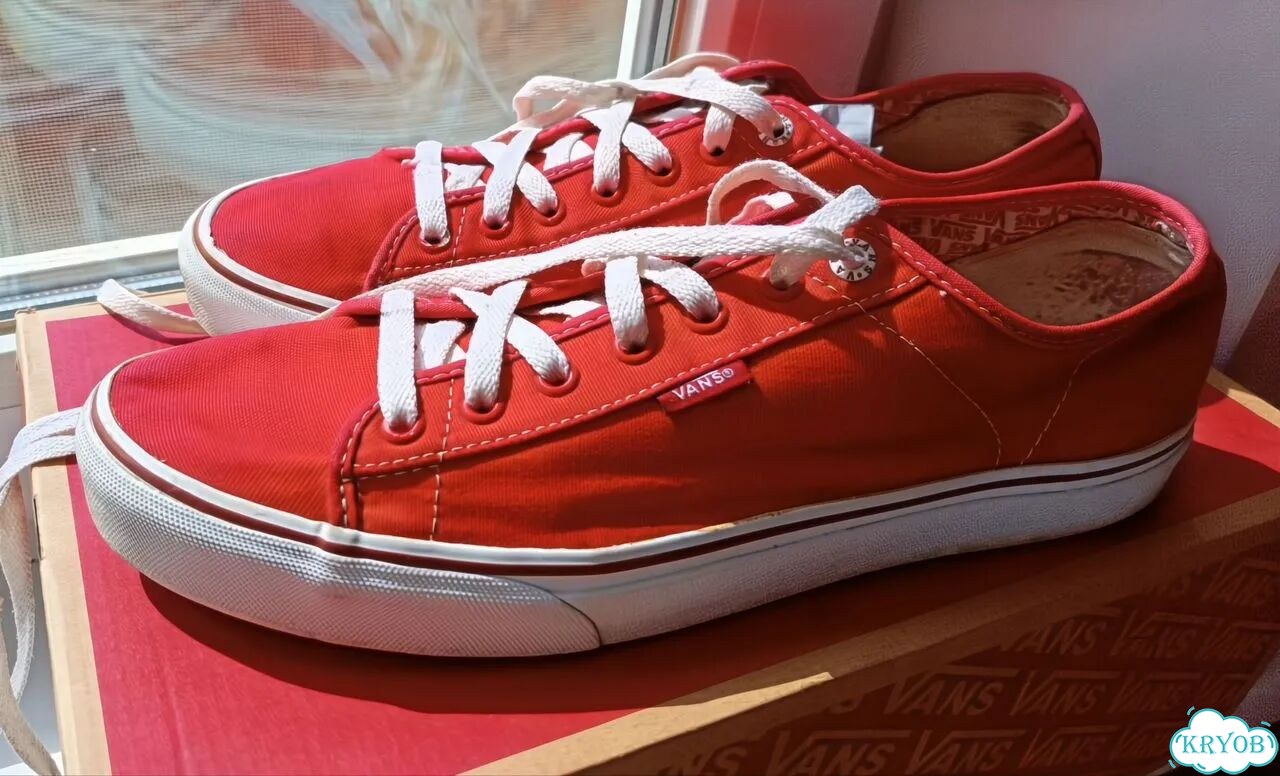 Кеды Vans Ferris 44,5 фото 1