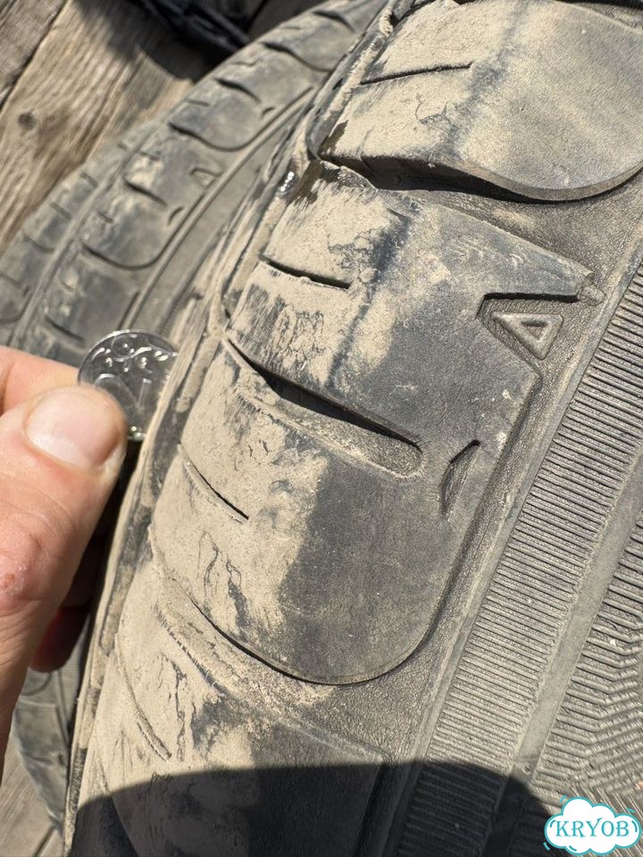 Dunlop Enasave RV504 195/65 R15 91 фото 5