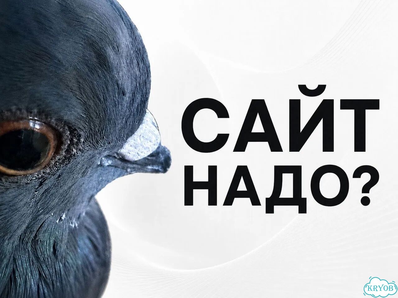 Научу Создавать Лендинг с ии: Без Программиста фото 1