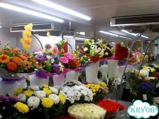 Холодильник для цветов фото 7