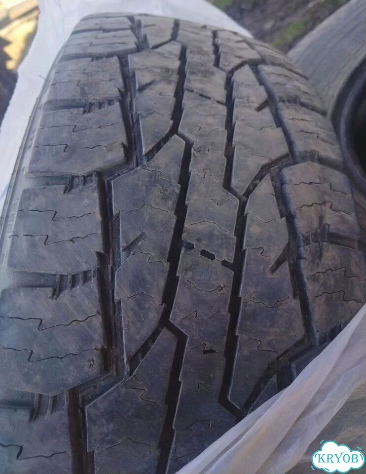 Nokian Tyres Entyre 225/70 R16 фото 2