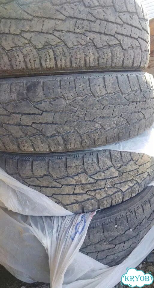 Nokian Tyres Entyre 225/70 R16 фото 3