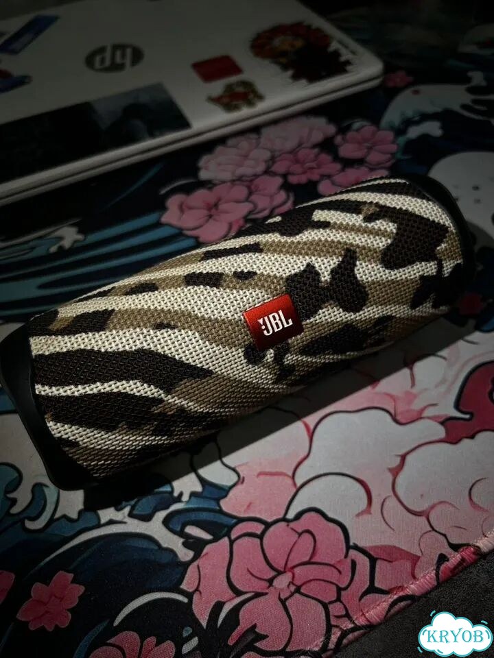 Колонка JBL Flip 5 фото 1