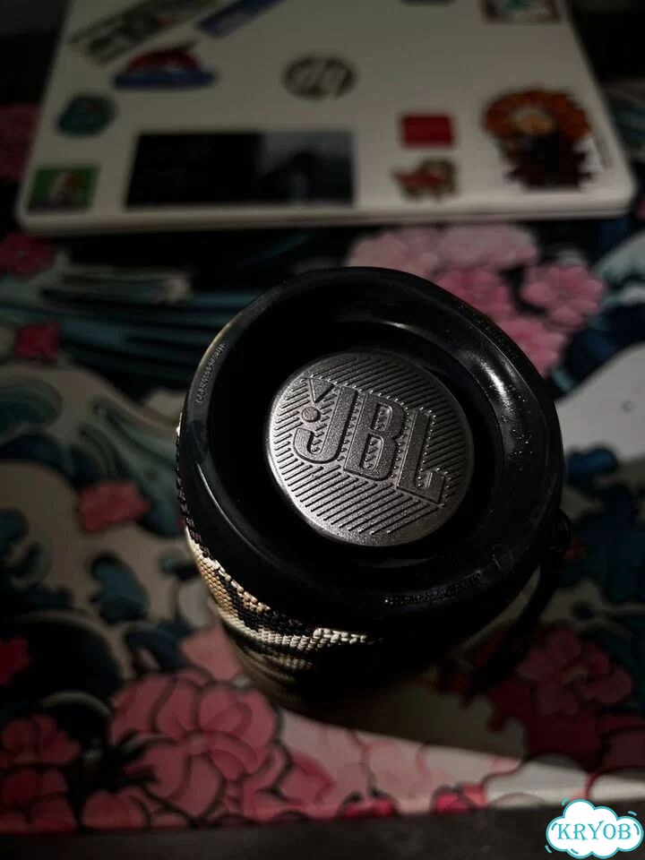 Колонка JBL Flip 5 фото 2