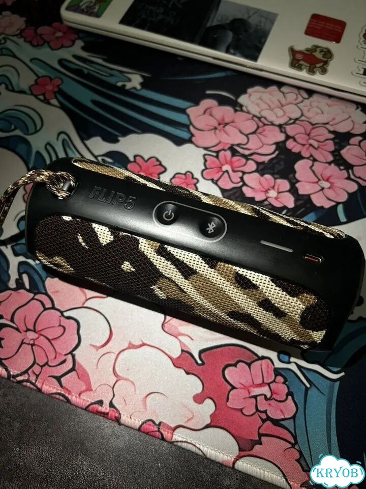 Колонка JBL Flip 5 фото 3
