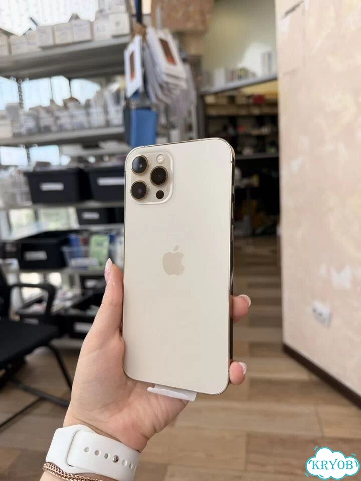 iPhone 12 Pro Max, 128 ГБ, SIM + eSIM фото 1