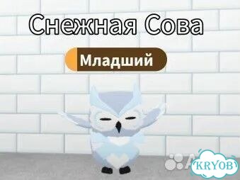 Снежная сова фр Adopt Me фото 2