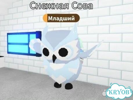 Снежная сова фр Adopt Me фото 3