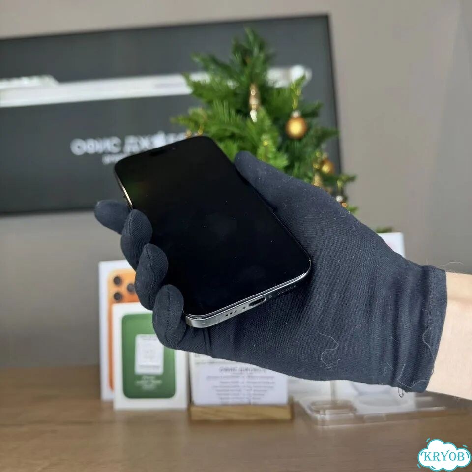 iPhone 16 Pro, 256 ГБ фото 2